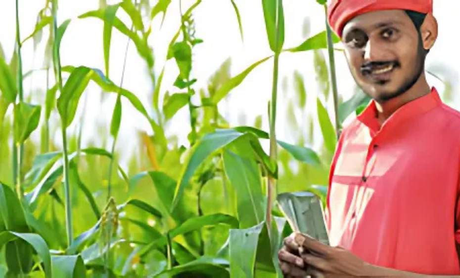 "Get up to 4% interest Kissan Credit Card subsidy on Kisan Credit Card (KCC) loans in India. Learn eligibility, benefits, and how to apply for KCC schemes."