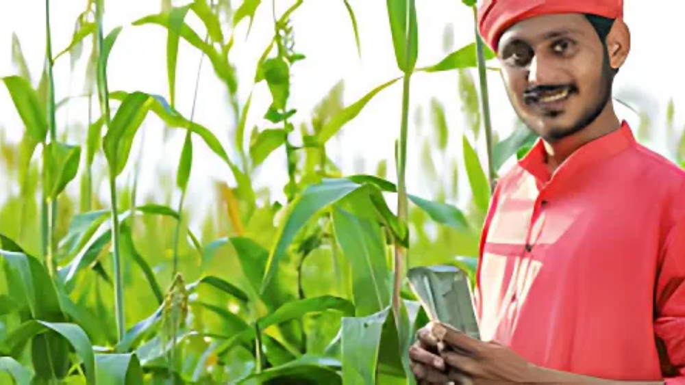 "Kissan Credit Card Interest Rates offers farmers affordable credit at 7% interest, reduced to 4% with timely repayment. Learn about interest rates, benefits, and how to apply for KCC."