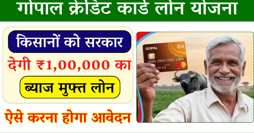 Happy Rajasthani farmer with his cows in a rural setting, Government official announcing the Gopal Credit Card scheme in a press conference, Dairy farmer applying for a loan at an e-Mitra center, Infographic showing eligibility and required documents for the scheme, Screenshot of the SSO Rajasthan online portal login page,